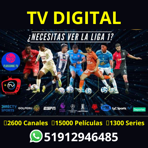 Tv Digital C3